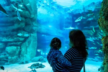 Çocuk genç kadınla izlemek akvaryum içinde bir balık