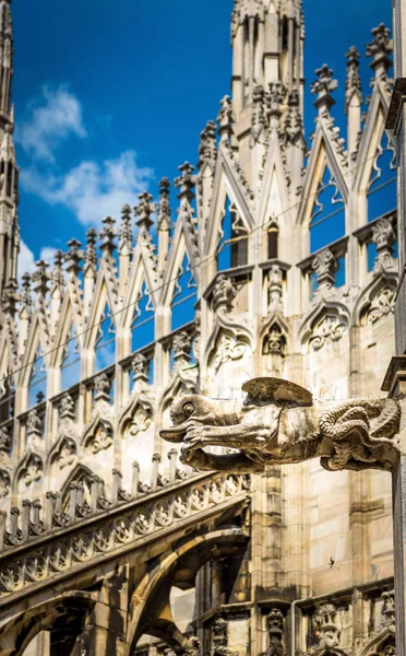 Wasserspeier auf dem Dach der Mailänder Kathedrale — Stockfoto