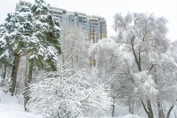 Paisagem de inverno, Moscou, Rússia. Nice árvores nevadas com vista m — Fotografia de Stock