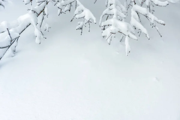 Sfondo di texture neve con spazio di copia per il testo. Piana nevosa — Foto Stock