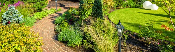 Aménagement paysager dans un joli jardin vert en été. Vue panoramique de la — Photo