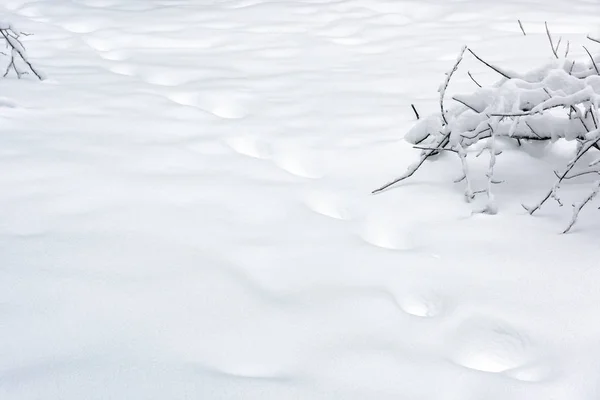 Sfondo texture neve. Paesaggio nevoso pianura nella foresta. Liscio — Foto Stock