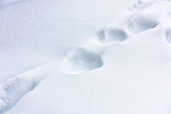 雪的纹理抽象背景. 光滑的脚印在新鲜的鼻涕上 — 图库照片