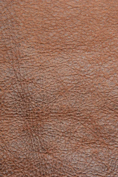 Leather close up full frame — Stock Photo, Image