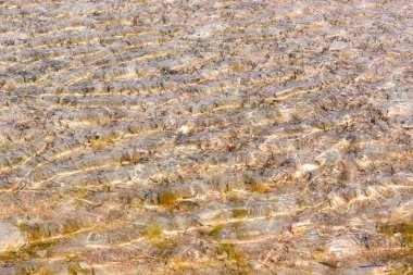 Kızıl Deniz temiz su