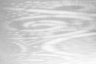 Beyaz bir duvara organik gölge düşür