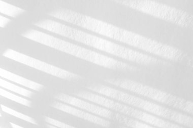 Beyaz bir duvara organik gölge düşür