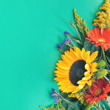 Nane arkaplanda farklı renkte yaz çiçekleri var.