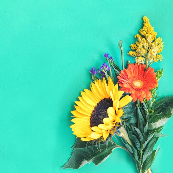 Verschiedene bunte Sommerblumen liegen auf mint Hintergrund — Stockfoto