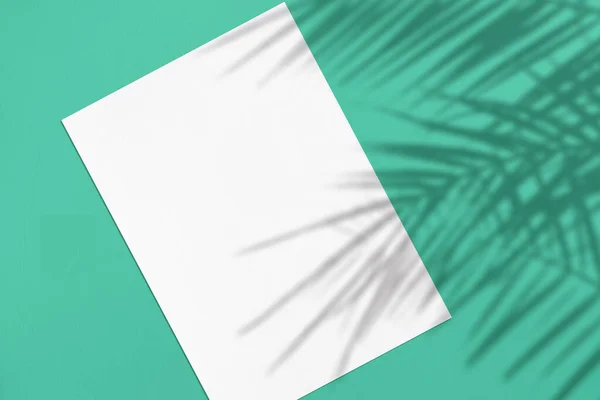 Cartaz de retângulo vertical branco vazio ou maquete de cartão com palma l — Fotografia de Stock