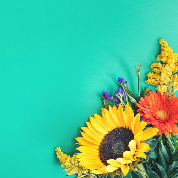 Verschiedene bunte Sommerblumen liegen auf mint Hintergrund — Stockfoto