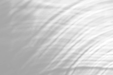 Beyaz bir duvara organik gölge düşür