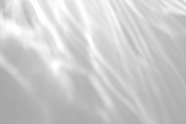 Beyaz bir duvara organik gölge düşür