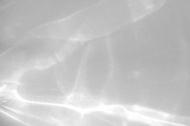 Beyaz bir duvara organik gölge düşür