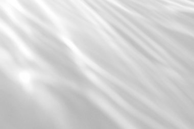 Beyaz bir duvara organik gölge düşür