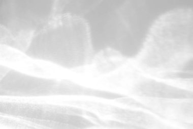 Beyaz bir duvara organik gölge düşür