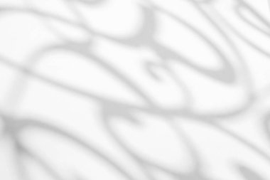 Beyaz bir duvara organik gölge düşür