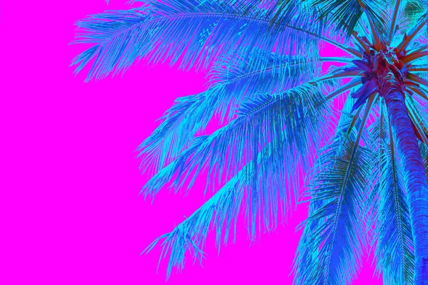 Neon colored palm tree on pink background — 스톡 사진