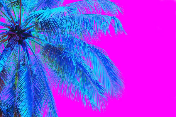 Palmera de color neón sobre fondo rosa — Foto de Stock