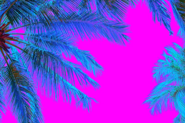 Palme colorate al neon su sfondo rosa — Foto Stock