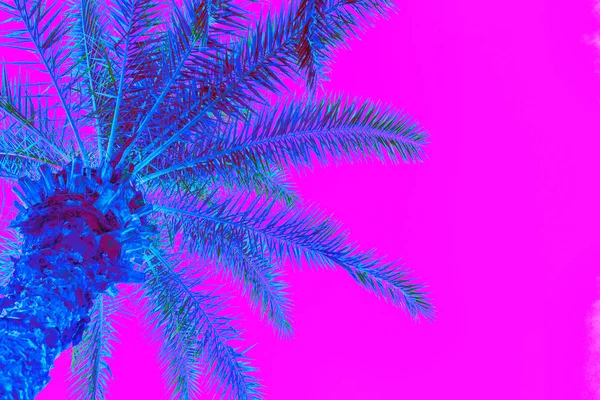 Neon colored palm tree on pink background — ストック写真