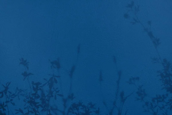 Grauer Schatten eines zarten Grases und Blumen auf einer blauen Betonwand — Stockfoto