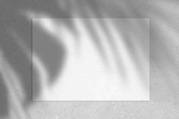 Пустой белый горизонтальный плакат прямоугольника или карточный макет с тенями пальмовых листьев — стоковое фото