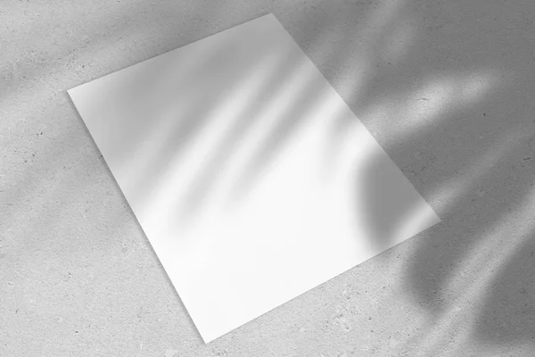 Порожній білий вертикальний плакат прямокутника або макет картки з пальмовим листям тіней — стокове фото