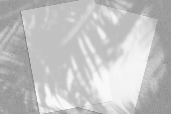 Two empty white vertical rectangle poster or card mockups with palm leaves shadows — Stock Photo, Image