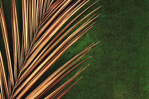 closeup of golden palm leaf on green background
