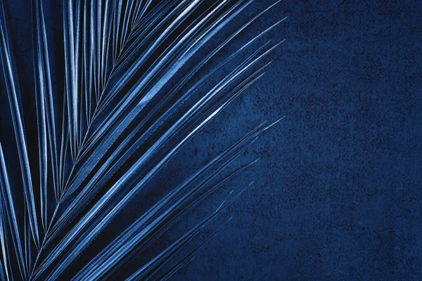 Close-up de folha de palma metálica no fundo azul escuro — Fotografia de Stock