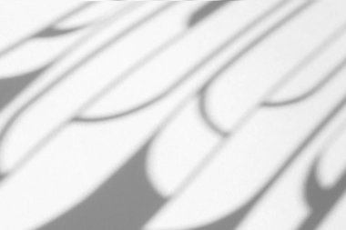 Beyaz bir duvara organik gölge düşür