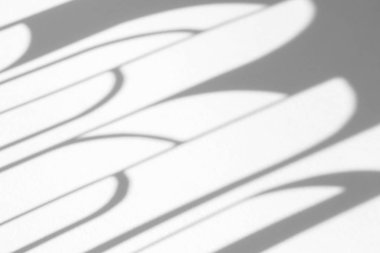 Beyaz bir duvara organik gölge düşür