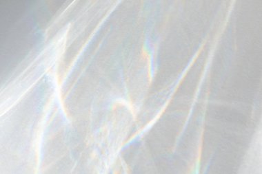 Beyaz bir duvara organik gölge düşür