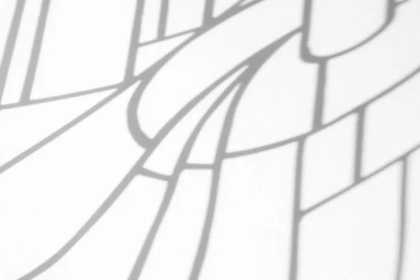 白い壁に有機的なドロップシャドウ — ストック写真