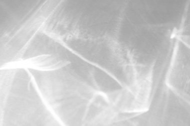 Beyaz bir duvara organik gölge düşür