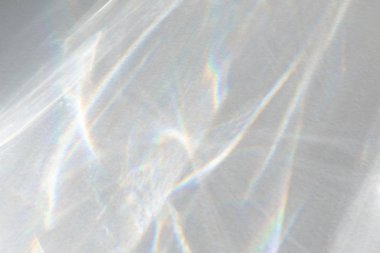 Beyaz bir duvara organik gölge düşür