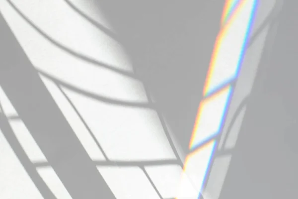 Overlay Effekt Für Foto Und Attrappen Organischer Tropfen Diagonaler Schatten — Stockfoto