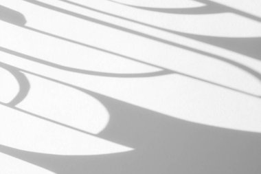 Fotoğraf ve maketler için bulanık kaplama etkisi. Beyaz bir duvara, deco camlı sanat eserinin çapraz gölgesini düşürür..