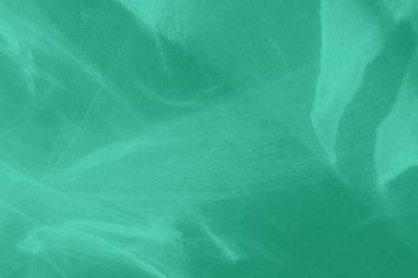 Işık ve gölgeli yakıcı efektli naneli, soyut arkaplan. Işık camdan geçer. 2020 yıllık renk eğilimi