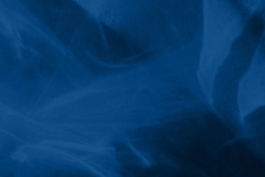 Beyaz bir duvara organik gölge düşür, fotoğraf ve maketler için üstüste efekt