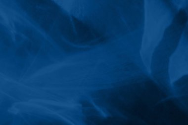 Beyaz bir duvara organik gölge düşür, fotoğraf ve maketler için üstüste efekt