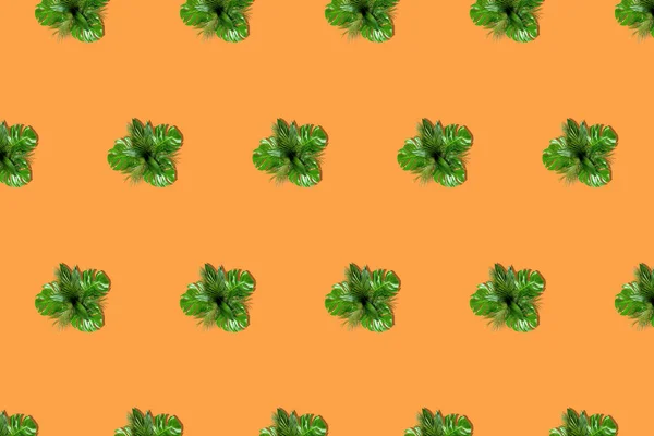 Букеты пальмовых листьев разреженные по диагонали на ярком оранжевом фоне — стоковое фото