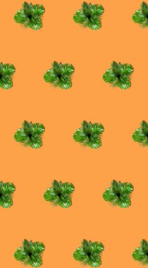 Palmiye yaprakları parlak turuncu arka planda seyrek olarak çaprazlanırlar.