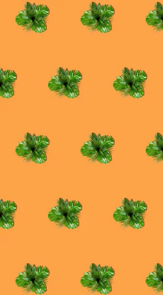 Palmové listy kytice řídce diagonálně na pulzujícím oranžovém pozadí — Stock fotografie