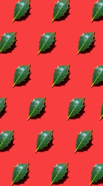 Holly parlak kırmızı arka planda çapraz olarak yatar. Moda güneş ışığı sonbaharı ve kış fotoğraf kalıpları. Minimum konsept. Kompozisyonu aç. Düz yatış stili. Dikey yönelim