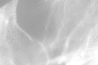 Fotoğraf ve maketler için su dokusu örtüsü etkisi. Beyaz bir duvara organik gölge ve ışık yakıcı etki bırakıyor. Doğal ışık efektleri için gölgeler