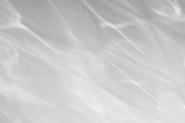 Fotoğraf ve modeller için geometrik doku örtüsü efekti. Beyaz bir duvara organik gölge ve ışık yakıcı etkisi.