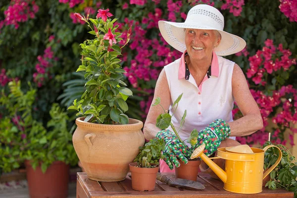 Pensioner Smiing Jardim Com Plantas Potenciômetro — Fotografia de Stock