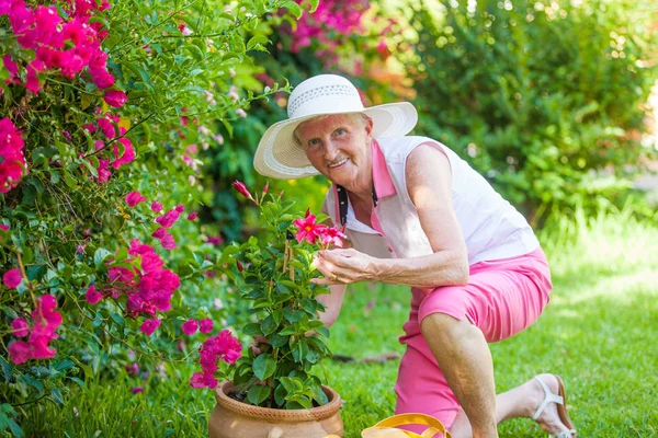 Seniorin Garten — Stockfoto